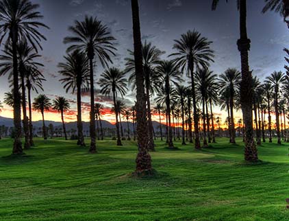 thepalms-cc